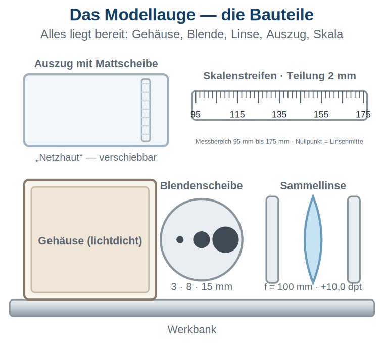 Grafik: Werkbank mit den Bauteilen des Modellauges – lichtdichtes Gehäuse, Auszug mit Mattscheibe, Blendenscheibe mit drei Öffnungen, Sammellinse und Skalenstreifen mit Millimeterteilung.