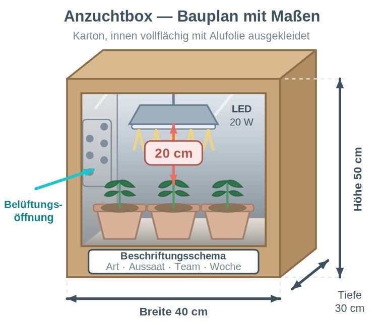 Grafik: Bauplan der Anzuchtbox mit Maßangaben, LED-Lampe an verstellbarer Aufhängung, Belüftungsöffnung, drei Pflanztöpfen und Beschriftungsschema.