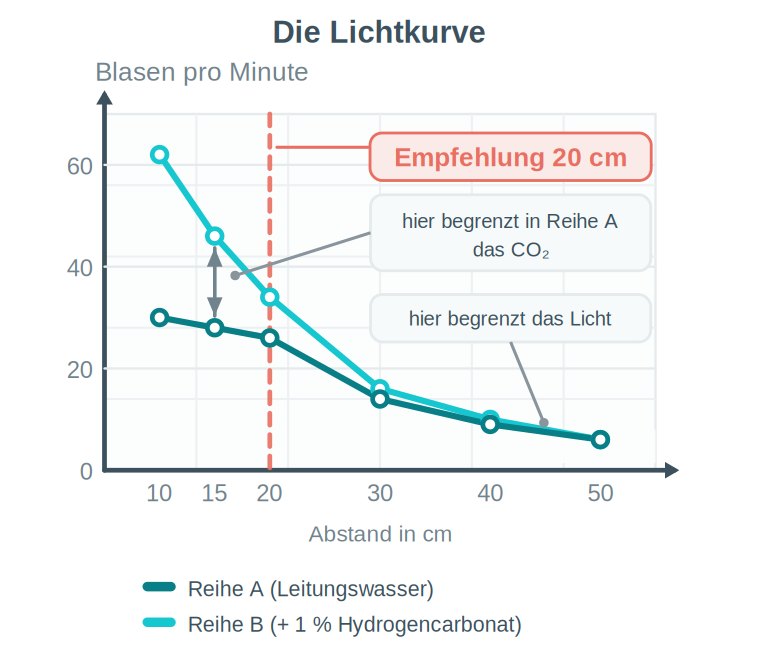 Grafik: Diagramm mit zwei Messreihen, Abstand in Zentimetern auf der waagerechten und Blasen pro Minute auf der senkrechten Achse, mit markiertem Empfehlungsbereich.