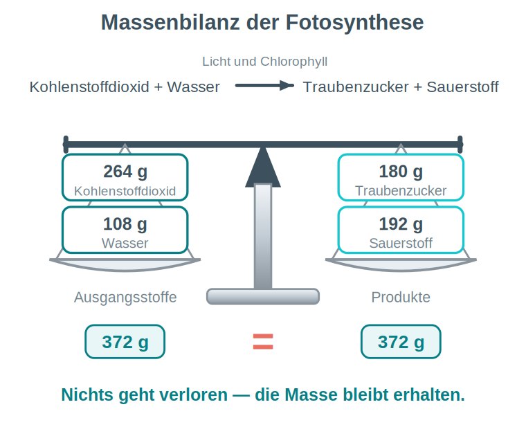 Grafik: Waagendarstellung der Fotosynthese mit Ausgangsstoffen auf der einen und Produkten auf der anderen Seite, beide Seiten im Gleichgewicht.
